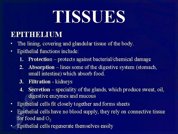 TISSUES EPITHELIUM • The lining, covering and glandular tissue of the body. • Epithelial