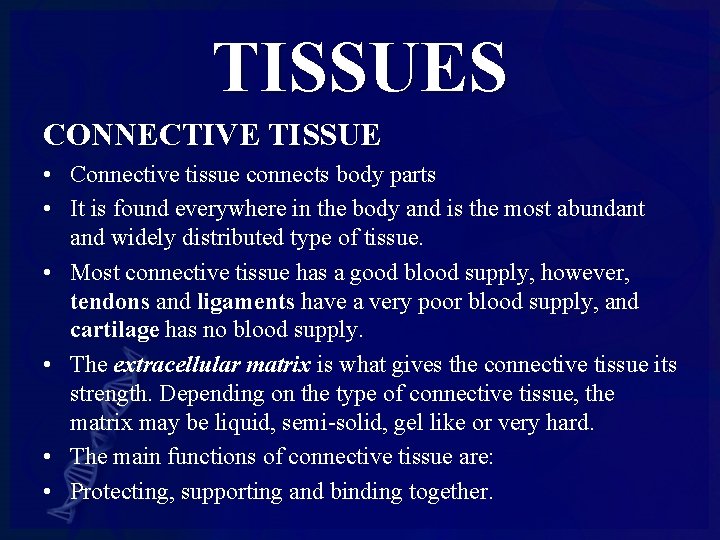 TISSUES CONNECTIVE TISSUE • Connective tissue connects body parts • It is found everywhere