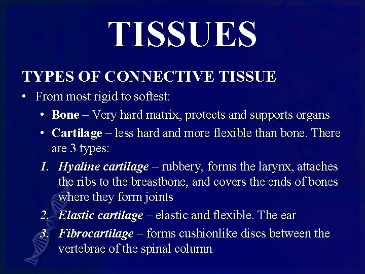TISSUES TYPES OF CONNECTIVE TISSUE • From most rigid to softest: • Bone –