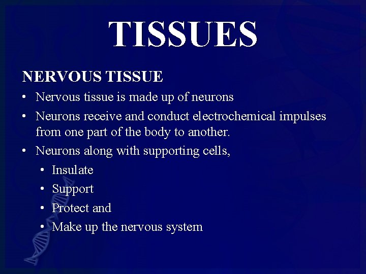 TISSUES NERVOUS TISSUE • Nervous tissue is made up of neurons • Neurons receive