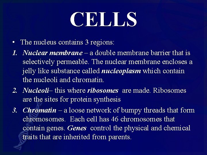 CELLS • The nucleus contains 3 regions: 1. Nuclear membrane – a double membrane
