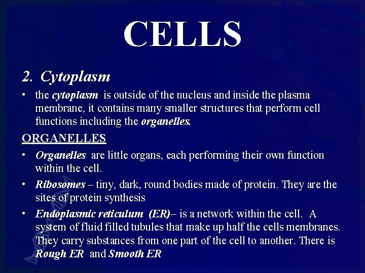 CELLS 2. Cytoplasm • the cytoplasm is outside of the nucleus and inside the