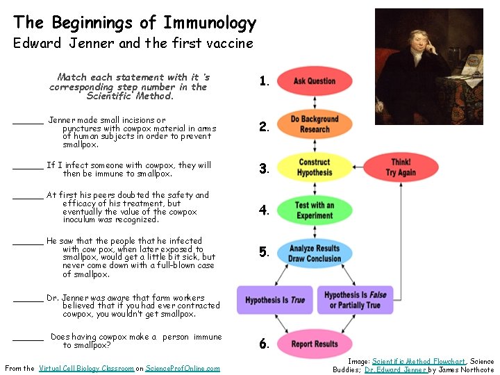 The Beginnings of Immunology Edward Jenner and the first vaccine Match each statement with