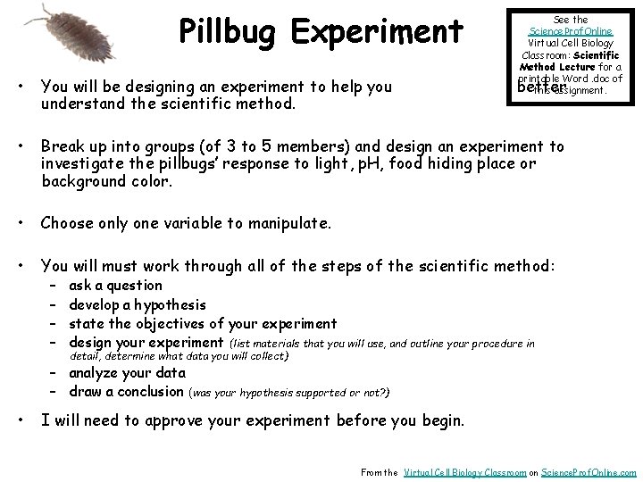 Pillbug Experiment See the Science. Prof. Online Virtual Cell Biology Classroom: Scientific Method Lecture