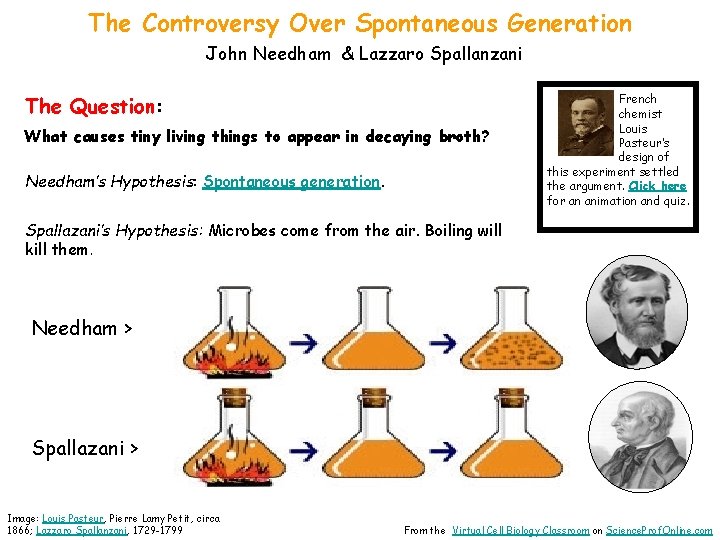 The Controversy Over Spontaneous Generation John Needham & Lazzaro Spallanzani The Question: What causes