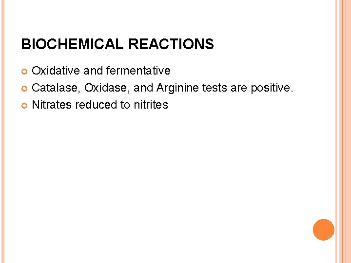 BIOCHEMICAL REACTIONS Oxidative and fermentative Catalase, Oxidase, and Arginine tests are positive. Nitrates reduced