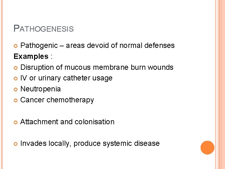 PATHOGENESIS Pathogenic – areas devoid of normal defenses Examples : Disruption of mucous membrane