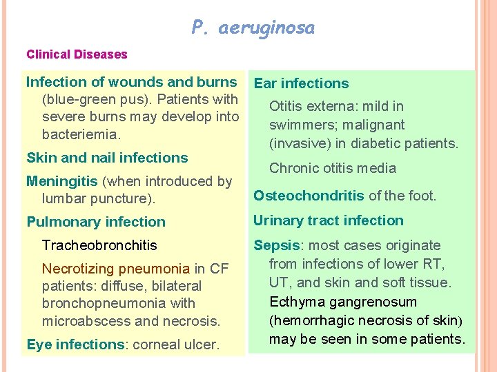 P. aeruginosa Clinical Diseases Infection of wounds and burns Ear infections (blue-green pus). Patients