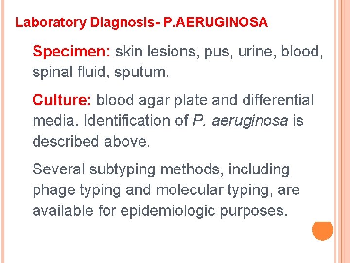Laboratory Diagnosis- P. AERUGINOSA Specimen: skin lesions, pus, urine, blood, spinal fluid, sputum. Culture: