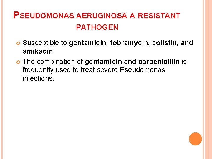 PSEUDOMONAS AERUGINOSA A RESISTANT PATHOGEN Susceptible to gentamicin, tobramycin, colistin, and amikacin The combination