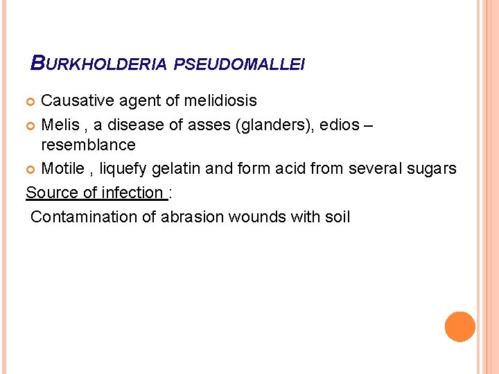BURKHOLDERIA PSEUDOMALLEI Causative agent of melidiosis Melis , a disease of asses (glanders), edios