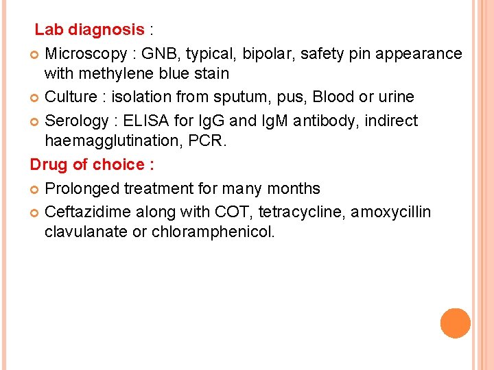 Lab diagnosis : Microscopy : GNB, typical, bipolar, safety pin appearance with methylene blue