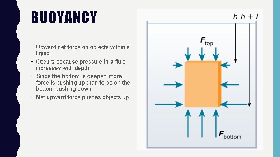 BUOYANCY • Upward net force on objects within a liquid • Occurs because pressure