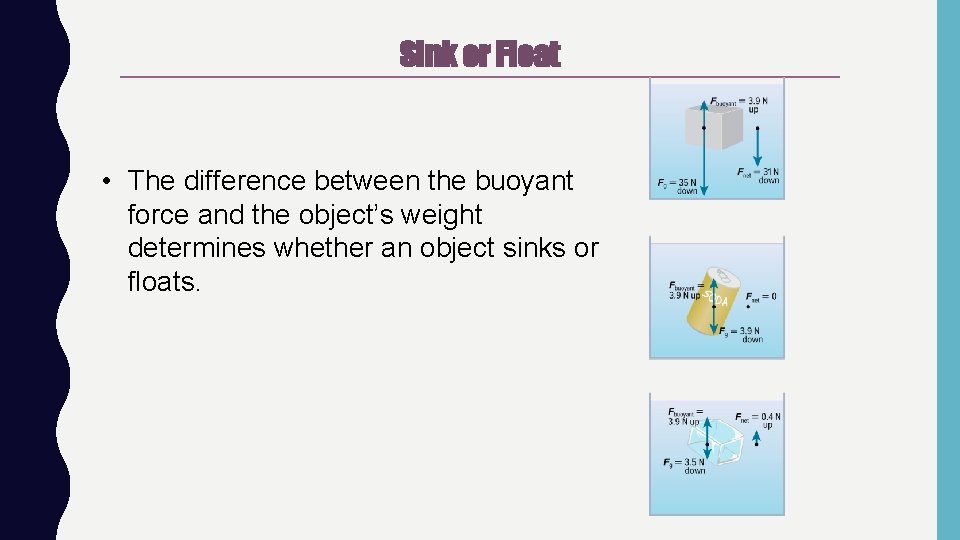 Sink or Float • The difference between the buoyant force and the object’s weight