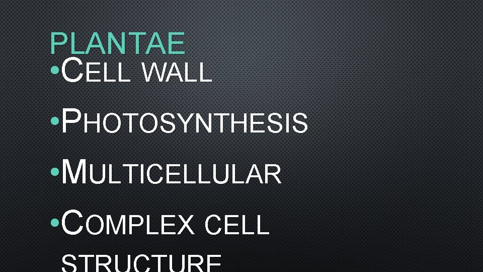 PLANTAE • CELL WALL • PHOTOSYNTHESIS • MULTICELLULAR • COMPLEX CELL 