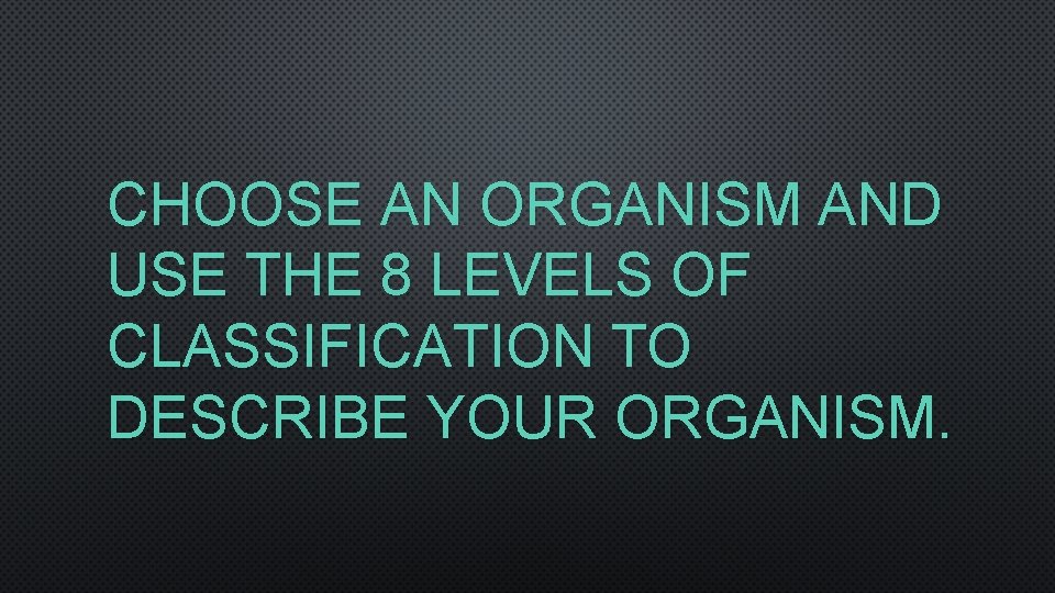 CHOOSE AN ORGANISM AND USE THE 8 LEVELS OF CLASSIFICATION TO DESCRIBE YOUR ORGANISM.