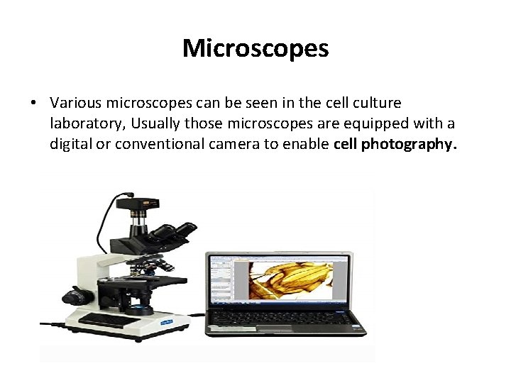 Microscopes • Various microscopes can be seen in the cell culture laboratory, Usually those