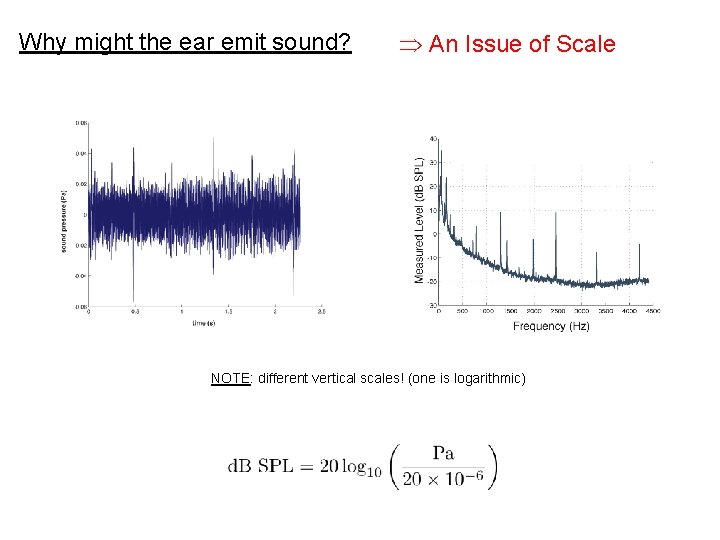 Why might the ear emit sound? An Issue of Scale NOTE: different vertical scales!
