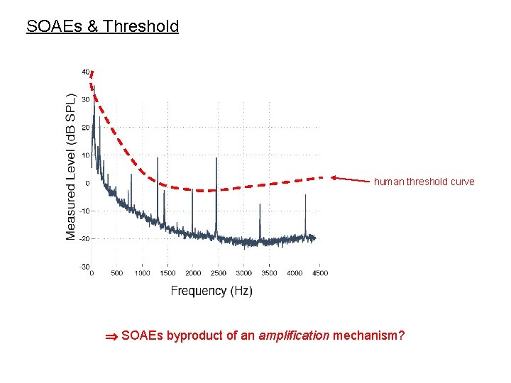 SOAEs & Threshold human threshold curve SOAEs byproduct of an amplification mechanism? 
