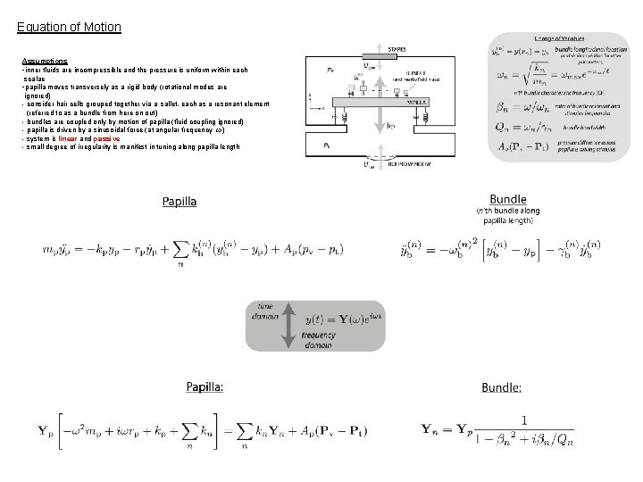Equation of Motion Assumptions -inner fluids are incompressible and the pressure is uniform within