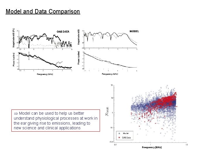Model and Data Comparison Model can be used to help us better understand physiological