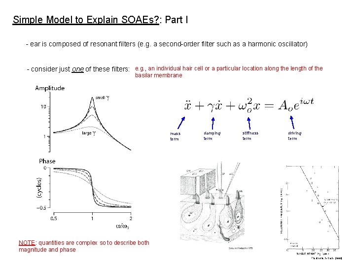 Simple Model to Explain SOAEs? : Part I - ear is composed of resonant