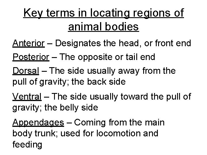 Key terms in locating regions of animal bodies Anterior – Designates the head, or