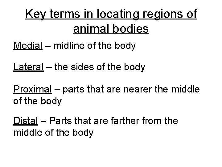 Key terms in locating regions of animal bodies Medial – midline of the body