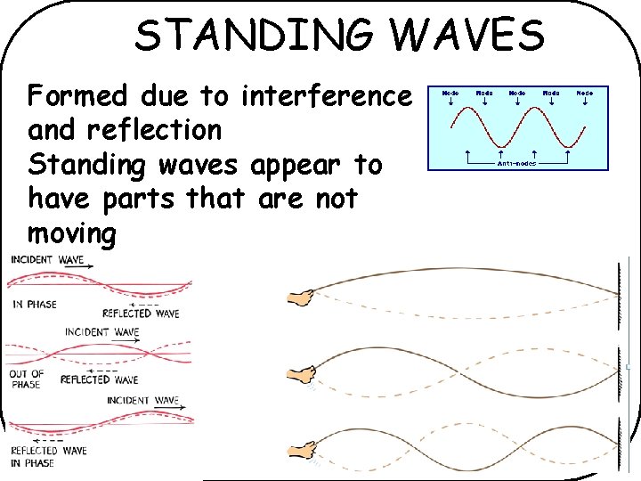 STANDING WAVES Formed due to interference and reflection Standing waves appear to have parts