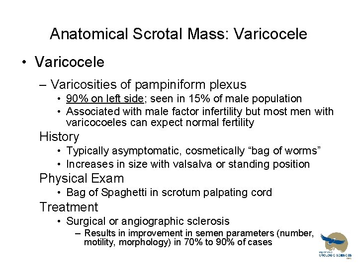 Anatomical Scrotal Mass: Varicocele • Varicocele – Varicosities of pampiniform plexus • 90% on