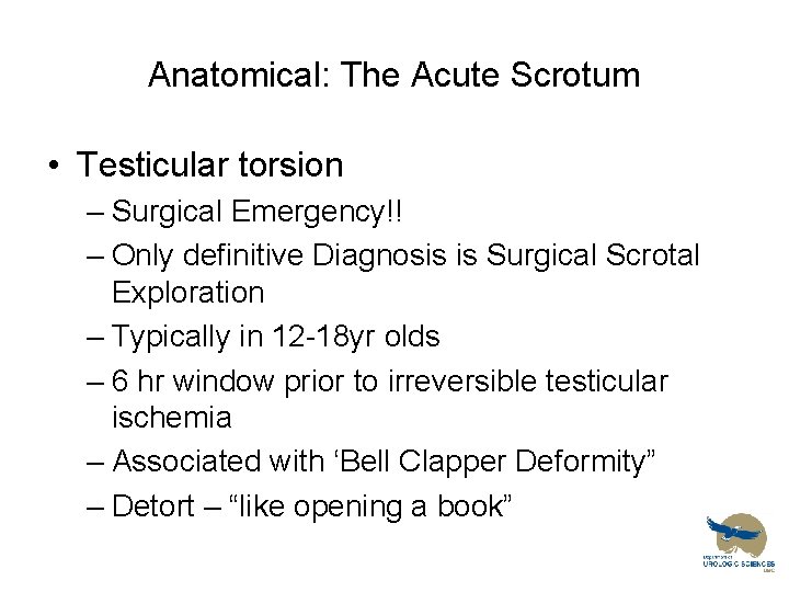 Anatomical: The Acute Scrotum • Testicular torsion – Surgical Emergency!! – Only definitive Diagnosis