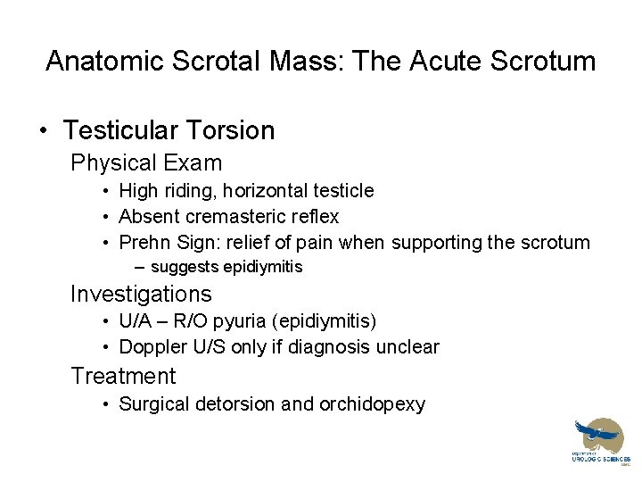 Anatomic Scrotal Mass: The Acute Scrotum • Testicular Torsion Physical Exam • High riding,