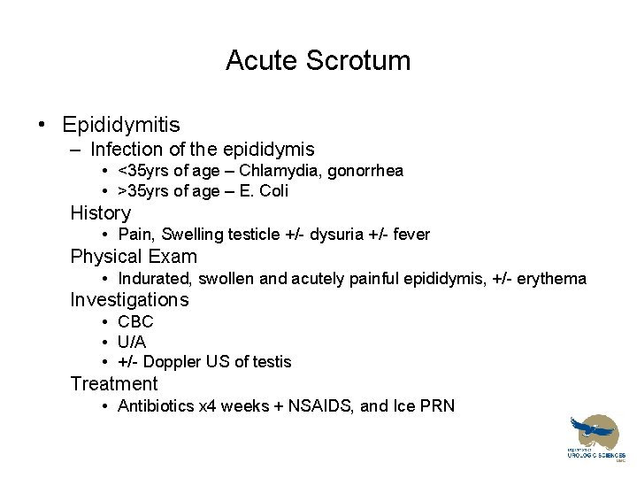 Acute Scrotum • Epididymitis – Infection of the epididymis • <35 yrs of age