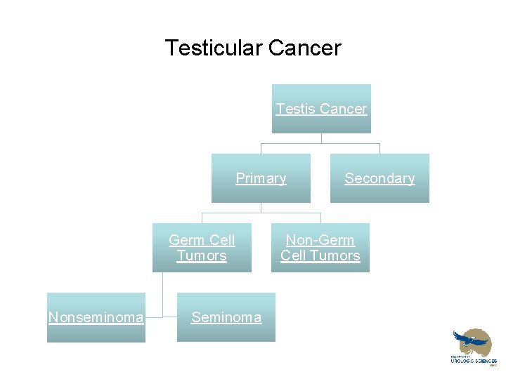 Testicular Cancer Testis Cancer Primary Germ Cell Tumors Nonseminoma Secondary Non-Germ Cell Tumors 
