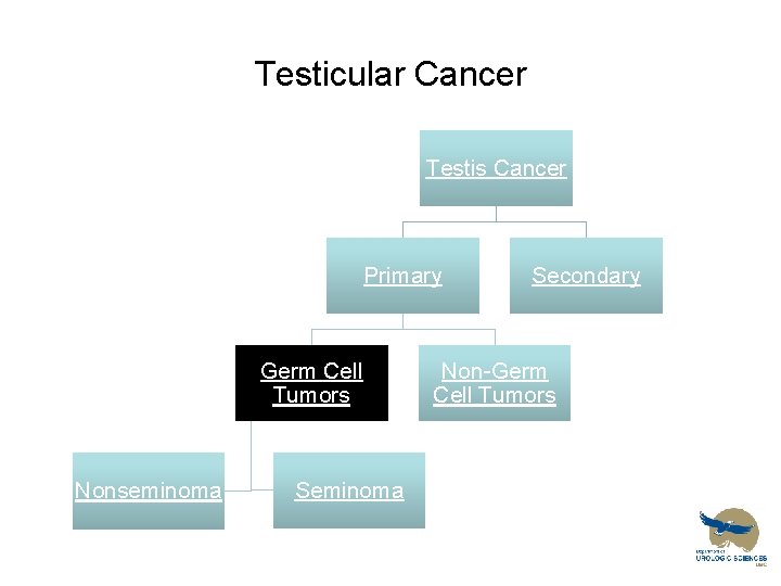 Testicular Cancer Testis Cancer Primary Germ Cell Tumors Nonseminoma Secondary Non-Germ Cell Tumors 