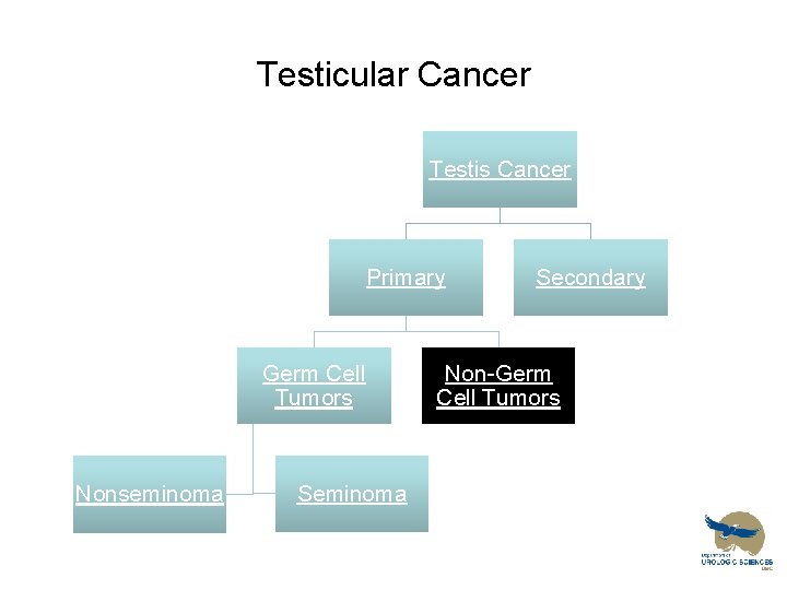 Testicular Cancer Testis Cancer Primary Germ Cell Tumors Nonseminoma Secondary Non-Germ Cell Tumors 