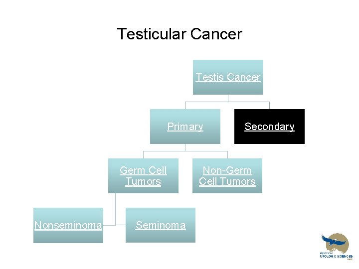 Testicular Cancer Testis Cancer Primary Germ Cell Tumors Nonseminoma Secondary Non-Germ Cell Tumors 
