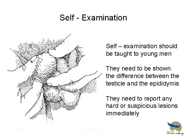 Self - Examination Self – examination should be taught to young men They need