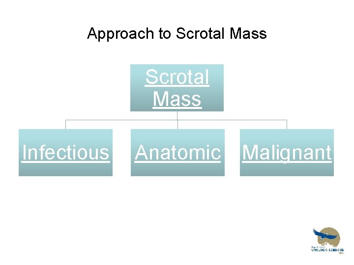 Approach to Scrotal Mass Infectious Anatomic Malignant 