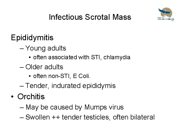 Infectious Scrotal Mass Epididymitis – Young adults • often associated with STI, chlamydia –
