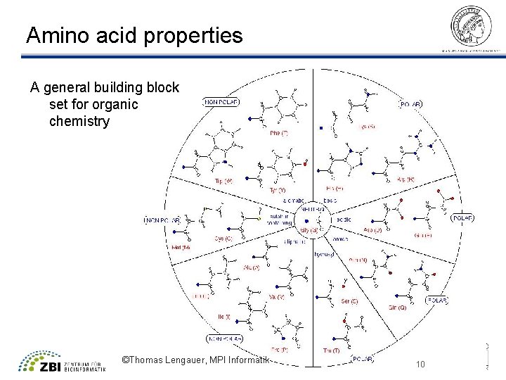 Amino acid properties A general building block set for organic chemistry ©Thomas Lengauer, MPI