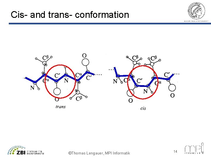 Cis- and trans- conformation ©Thomas Lengauer, MPI Informatik 14 