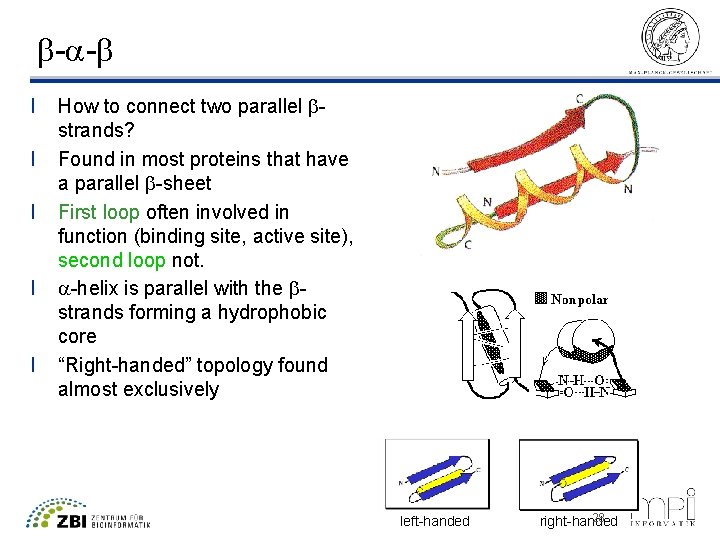b-a-b l l l How to connect two parallel bstrands? Found in most proteins
