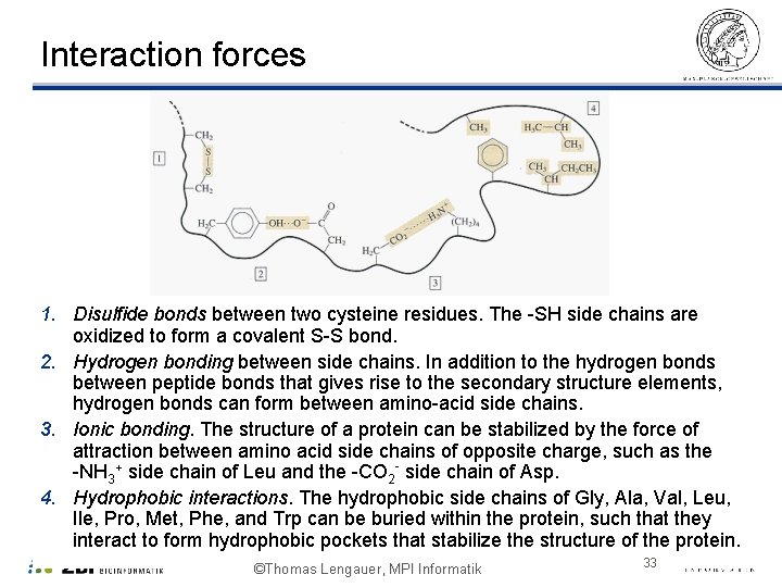 Interaction forces 1. Disulfide bonds between two cysteine residues. The -SH side chains are