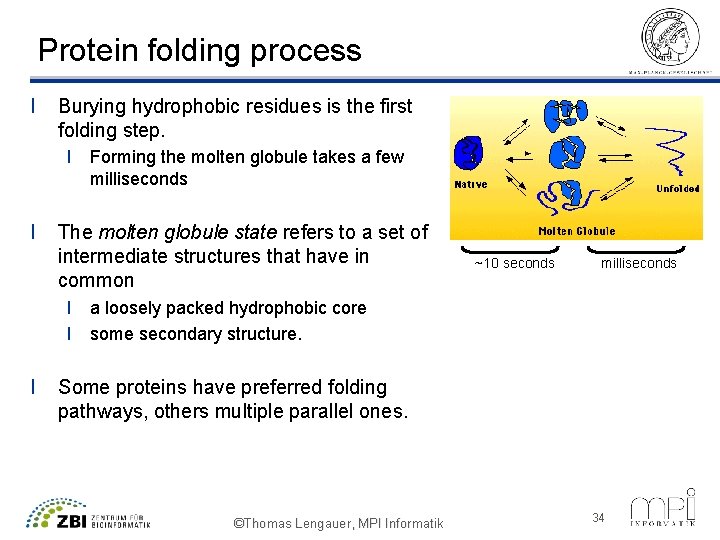 Protein folding process l Burying hydrophobic residues is the first folding step. l Forming