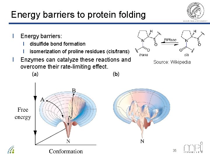 Energy barriers to protein folding l Energy barriers: l disulfide bond formation l isomerization