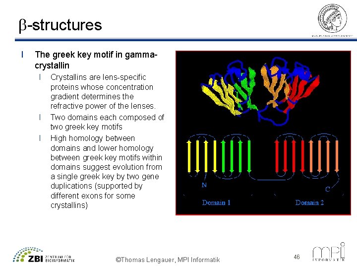 b-structures l The greek key motif in gammacrystallin l l l Crystallins are lens-specific