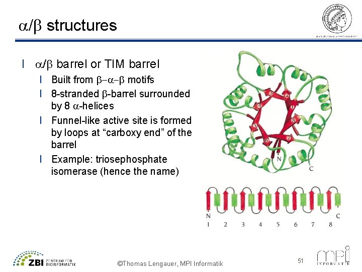 a/b structures l a/b barrel or TIM barrel l Built from b-a-b motifs l