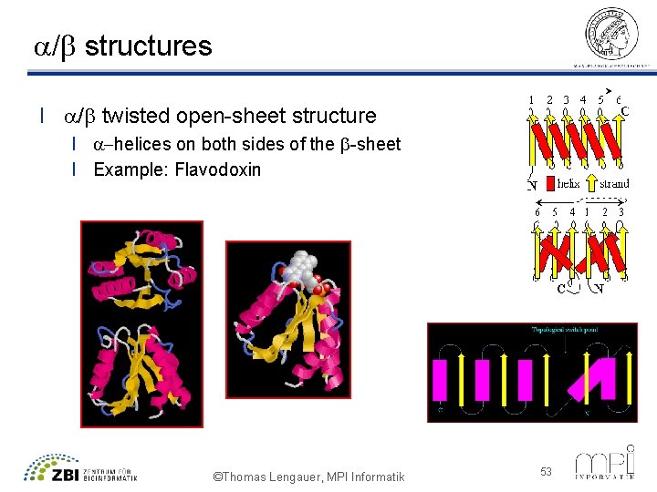a/b structures l a/b twisted open-sheet structure l a-helices on both sides of the