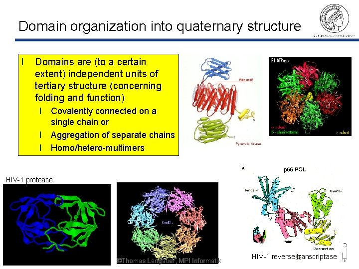 Domain organization into quaternary structure l Domains are (to a certain extent) independent units